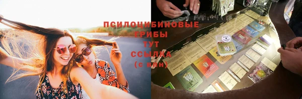 MESCALINE Аркадак