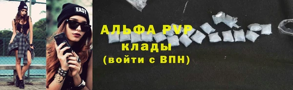 молекула духа Арсеньев