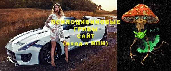 ГАЛЛЮЦИНОГЕННЫЕ ГРИБЫ Алексин