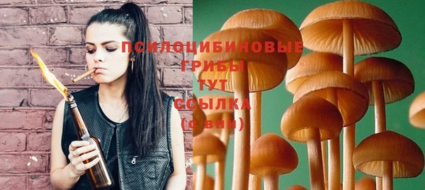 MESCALINE Аркадак