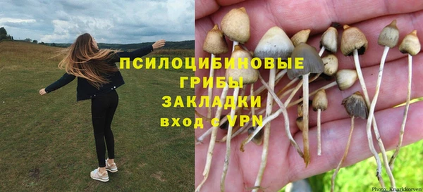 молекула духа Арсеньев