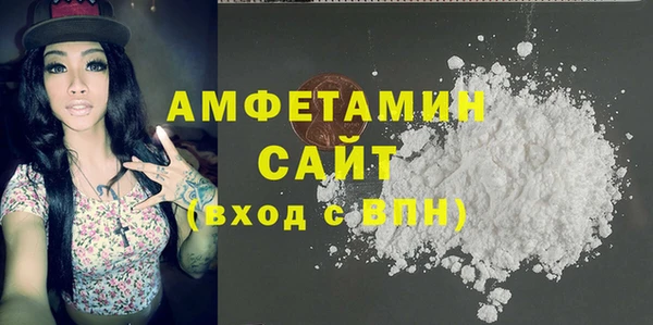 молекула духа Арсеньев