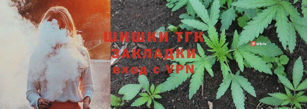 молекула духа Арсеньев