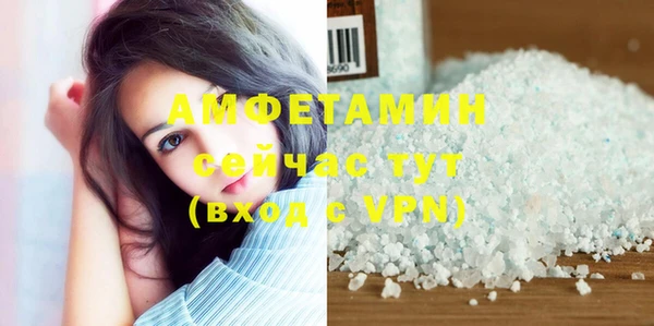 молекула духа Арсеньев